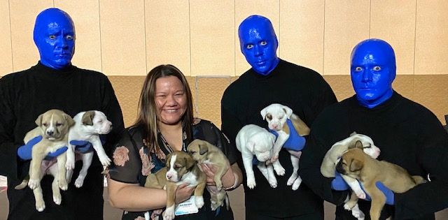 blue-man-group-puppies