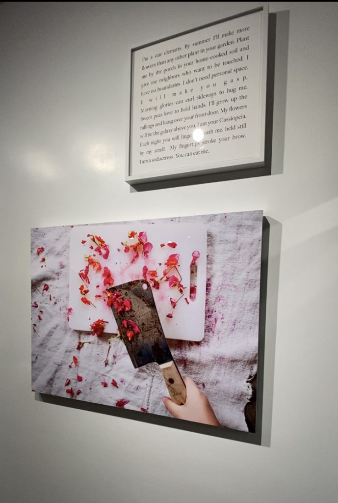"The Cleaver and The Petals" photograph by Cig Harvey