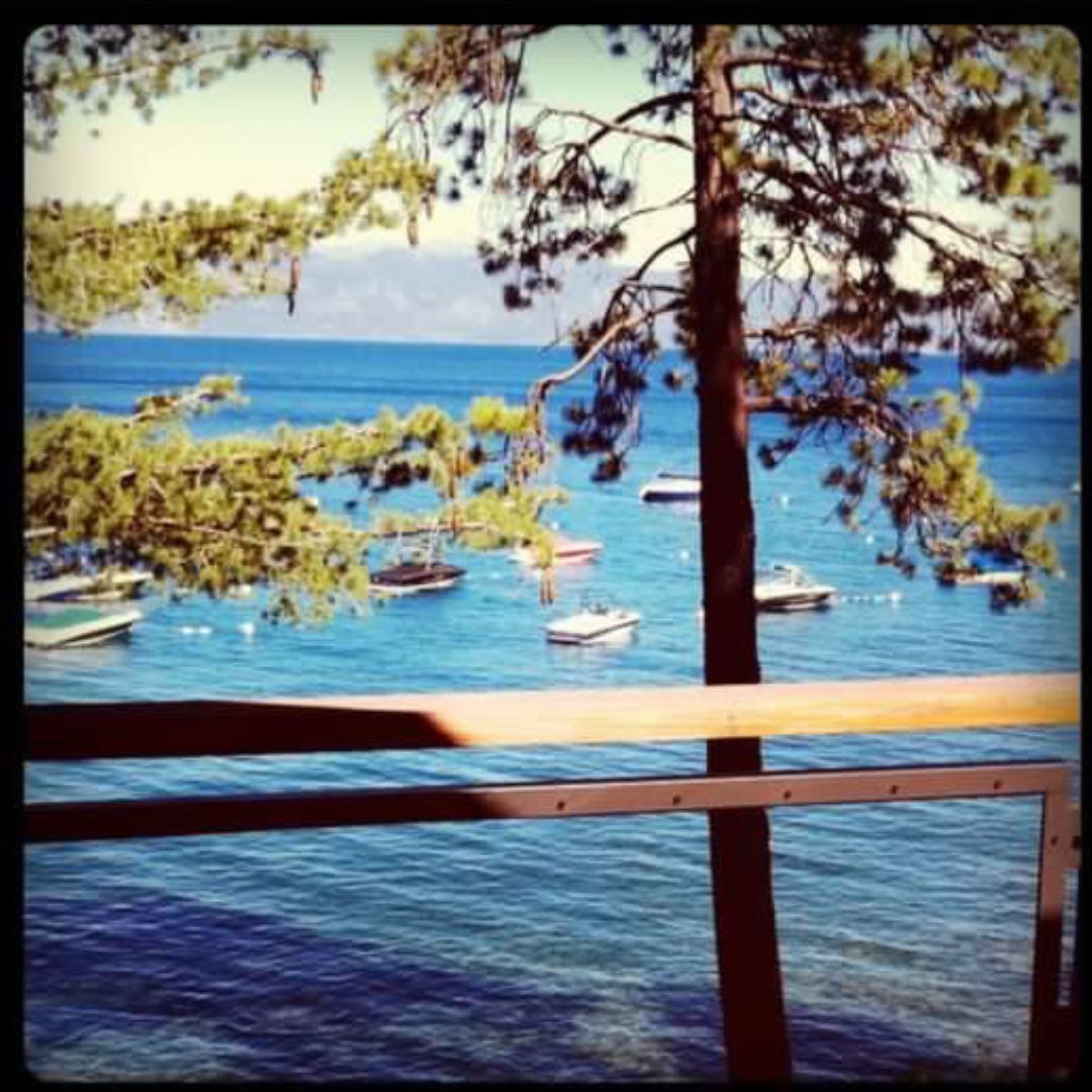 Lake Tahoe with tree and boats
