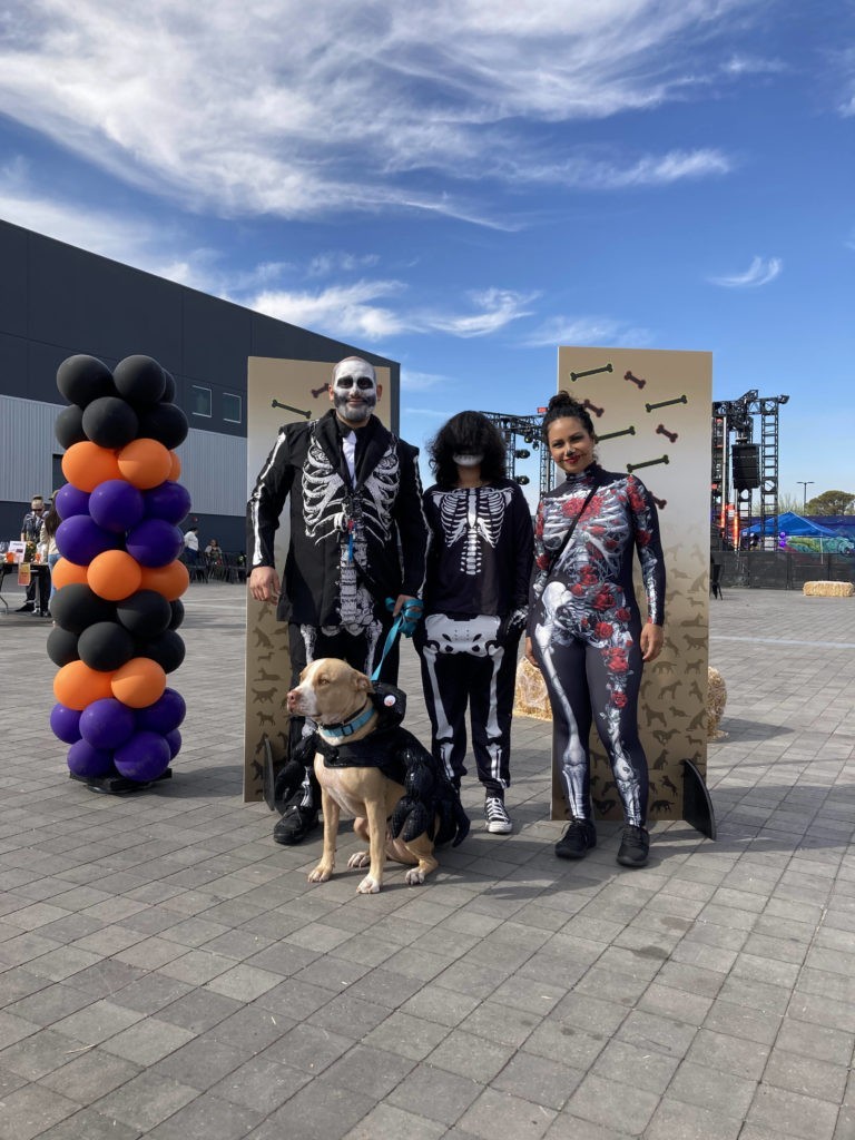 Howl-O-Ween parade with dog wearing day of dead costume