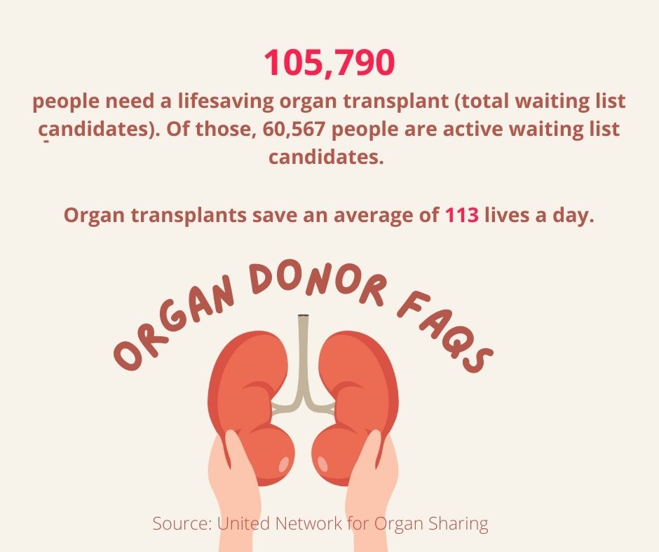 multi-organ transplant facts infographic source united network for organ sharing