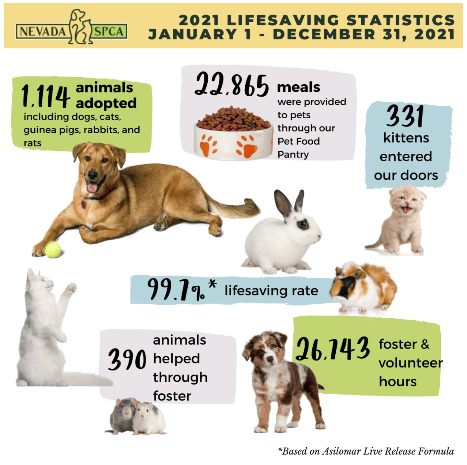 Nevada SPCA statistics infographic 