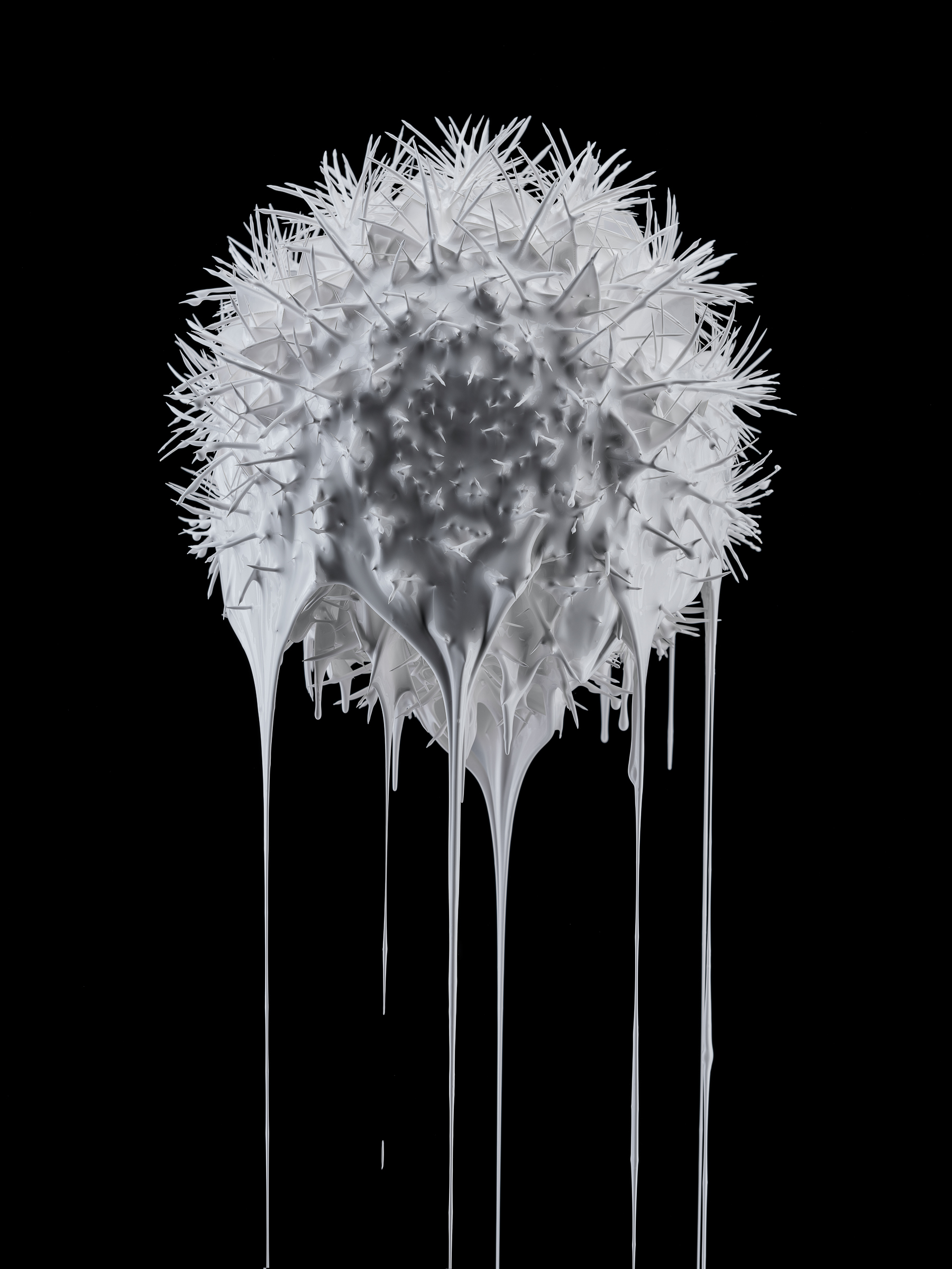 spiky plant dripping paint art photo
