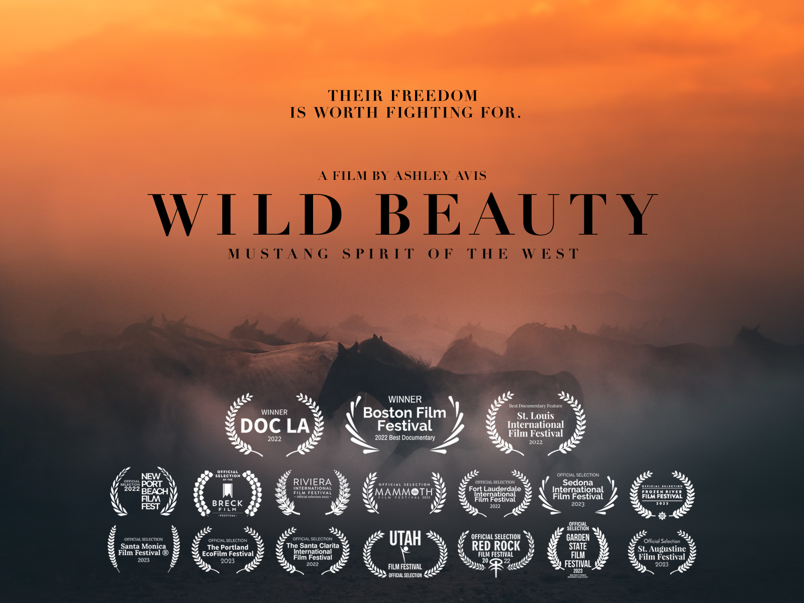 wild horse documentary poster with film festival movie poster